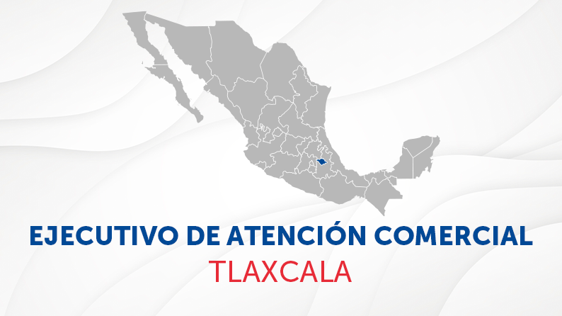 Elsa Martínez García