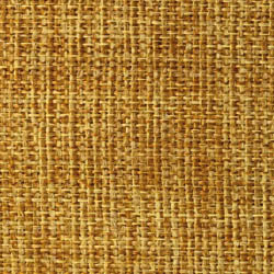 Nuevo | Addison Miel - 